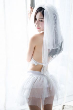 如实陈述